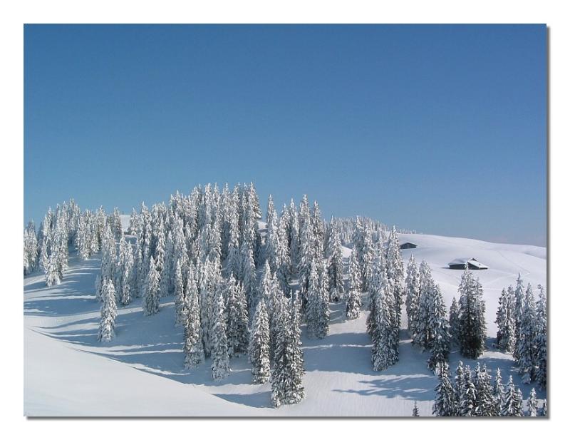 Alpine Hill
