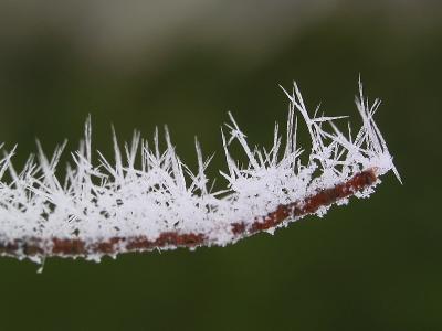 Long Needles of Ice