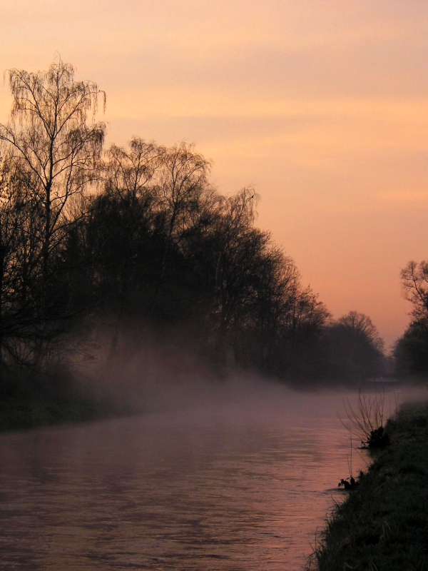 Looking upstream