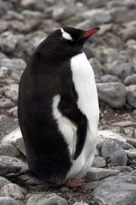 CRW_7718.jpg