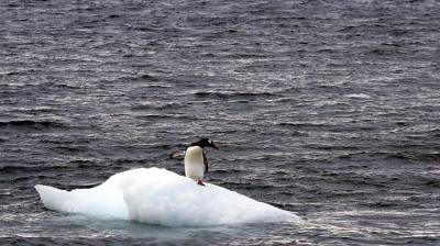 CRW_7724.jpg