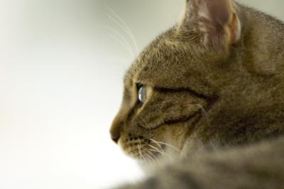 Beutel profile.jpg