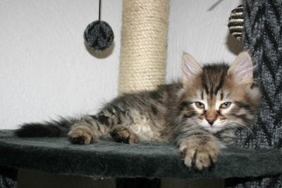... and look at those BIG paws!!