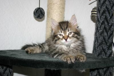 Feliks 8 weeks...