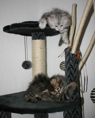 Feliks & Faina