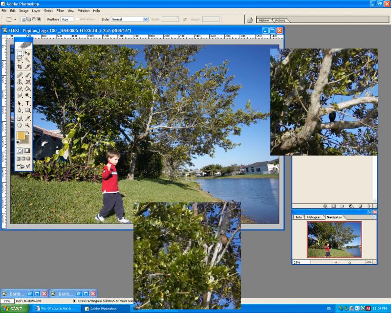 ScreenShot1DMKII-C1_352-d.jpg