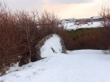 Snow on Stone with the trees