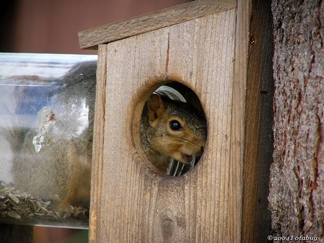 Help!  Get me outa here!