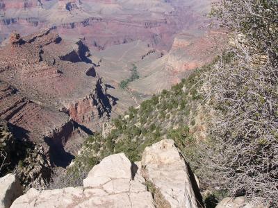 View down