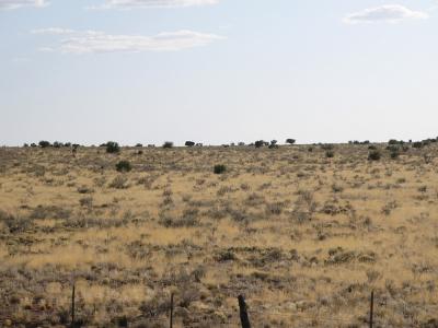 Pretty much desert all the way