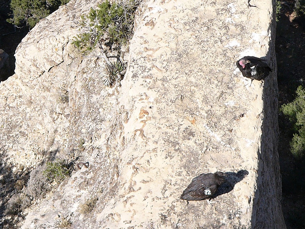 I was at lookout directly above
