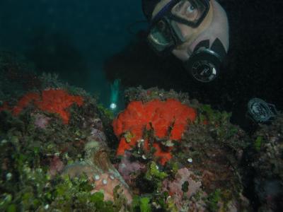 Guido met Octopus.JPG