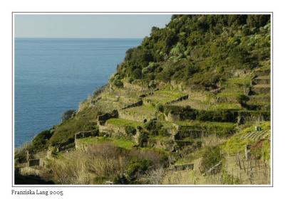 Cinque Terra