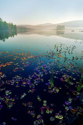 Baptist Pond