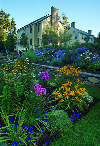 Library Garden