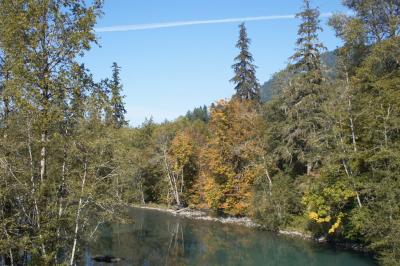 Fall Colors on the Elwha River.