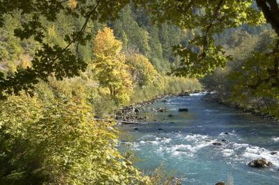 Elwha River Looking Up River.