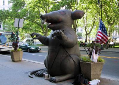 Rat on Worth Street in New York City