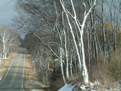 Michigan Road
