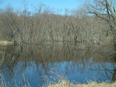 Reflections