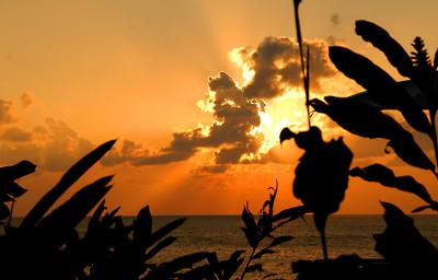 The Caves, Negril