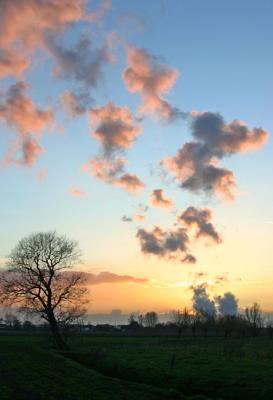 nuclear powerplant beauty