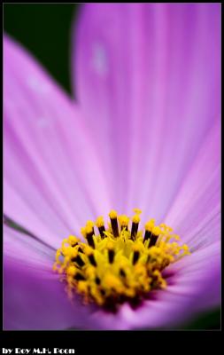 CRW_4607.jpg