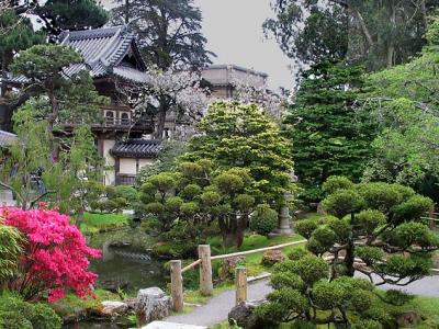 Japanese Garden View