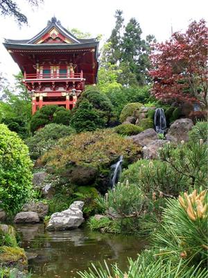 Japanese Garden Pond