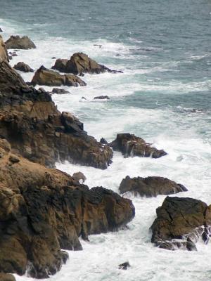 Point Reyes Rocks & Waves