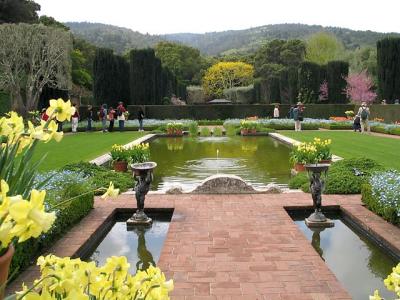 Filoli Garden View