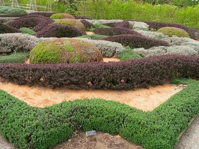 Filoli Garden 2