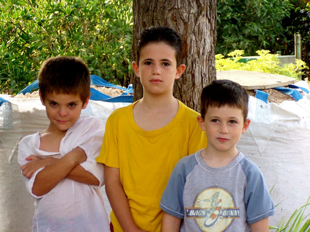 Trio.jpg