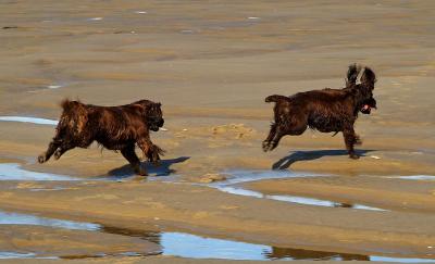 Having fun at Rhosilli Bay, 2004