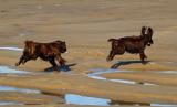 Having fun at Rhosilli Bay, 2004