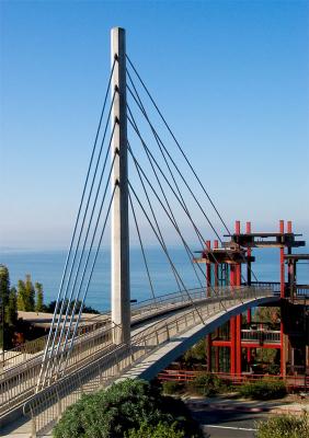 UCSD Bridge