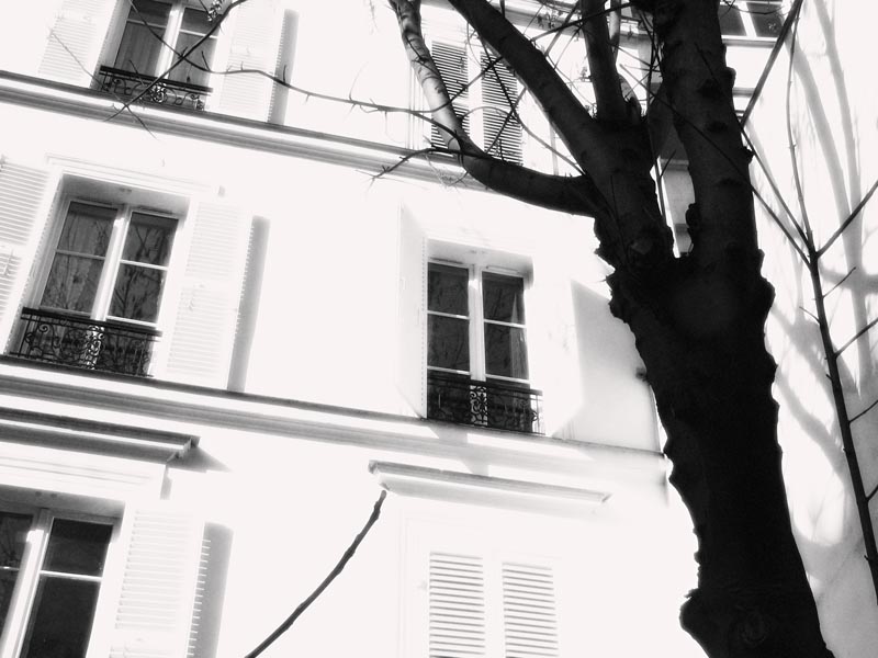 12/02/05 - Sous le soleil exactement