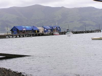 Akaroa 4.jpg