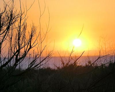 u42/gpaai/medium/27414897.Sunset1.jpg