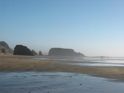 Mendocino2.jpg