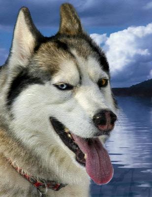 Husky Challenge.jpg