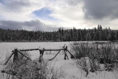 icy meadow