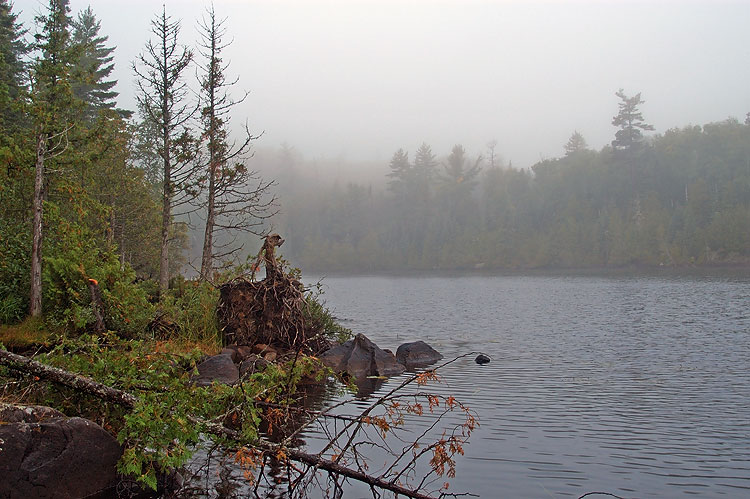 A Wet and Foggy Start to the Day