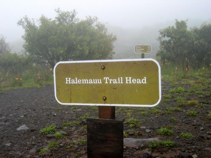Halemauu trailhead (7,990 ft.)