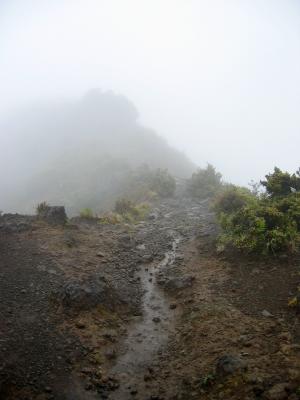 Rocky trail into the fog