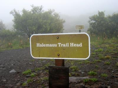 Halemau'u trailhead (7,990 ft.)