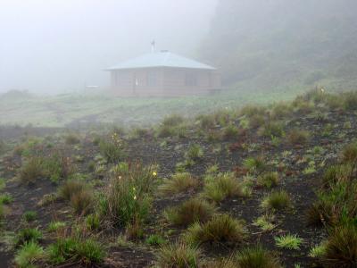 Kapalaoa cabin (7,250 ft.)