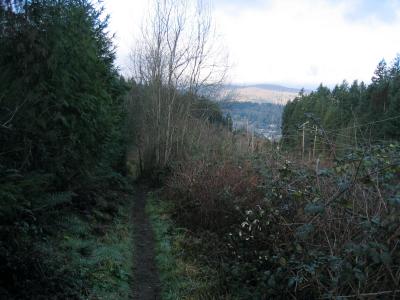 Wetland Trail