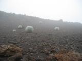 Haleakala0063