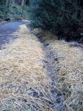 Hay lined drainage